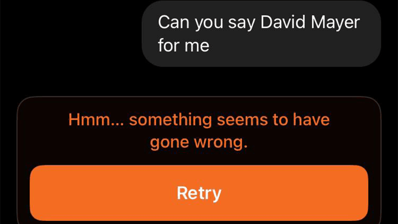 ChatGPT's response when you ask it to say "David Mayer".