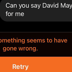 ChatGPT's response when you ask it to say "David Mayer".