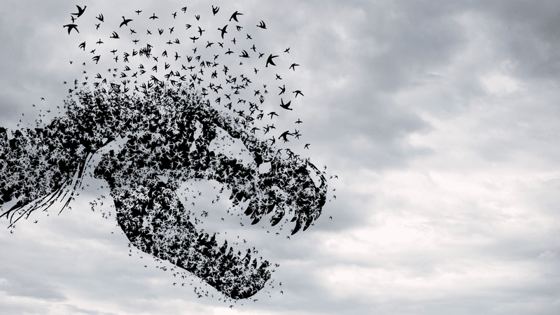 illustration of a flock of birds in the shape of a dinosaur skull