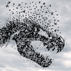 illustration of a flock of birds in the shape of a dinosaur skull