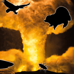 A large explosion is the background. Silhouttes of five species are outline agaisnt the fireball. A shark bottom left. An cockroach in the middle, a group of six penguins, a vulture flying and a tardigrade.