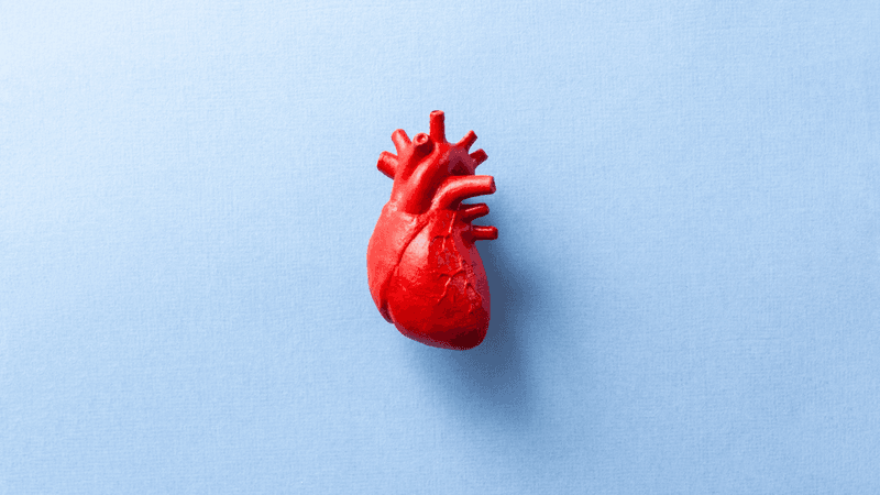 a red anatomically correct heart on a blue background