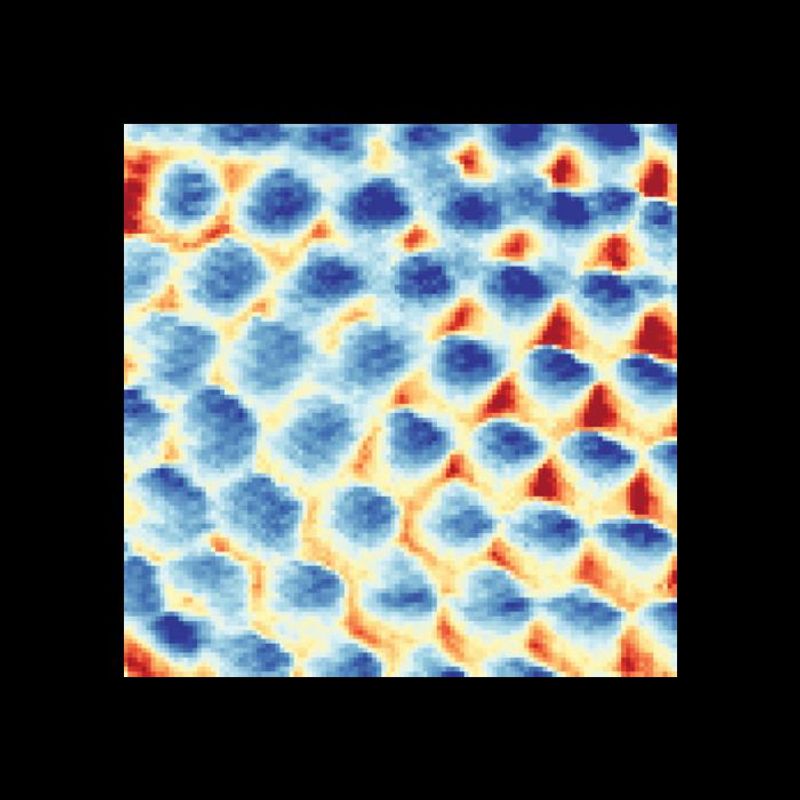 An image of a triangular Wigner crystal taken by scanning tunneling microscope. Each site (blue circular region) contains a single localized electron