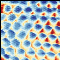An image of a triangular Wigner crystal taken by scanning tunneling microscope. Each site (blue circular region) contains a single localized electron
