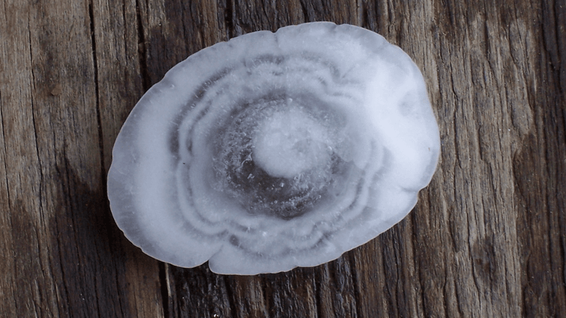 The centre of a large hailstone with alternate layers of opaque and transparent ice.
