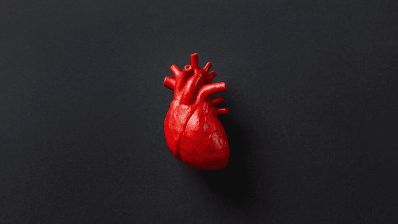an anatomically accurate red heart on black background