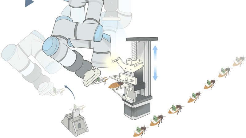 a diagram showing cockroaches being given electric backpacks via a robotic arm