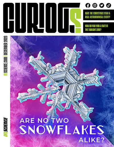 CURIOUS Magazine Issue 17 - Are no two snowflakes alike?