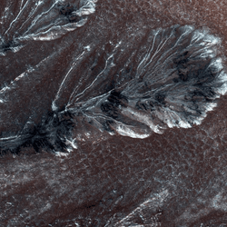 Frosty gullies on Mars' northern plains. We don't know if any of this currently falls as snow, but there's reason to think it might.