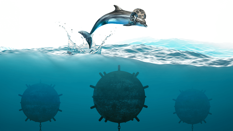 3D illustration of a dolphin wearing a military helmet, leaping out of water with three sunken mines visible below the waves