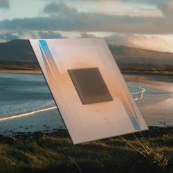 Google's Willow chip.