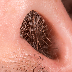 Nose hair.