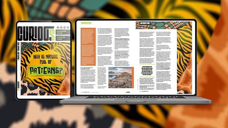 Why is nature full of patterns? IFLScience's free digital magazine cover