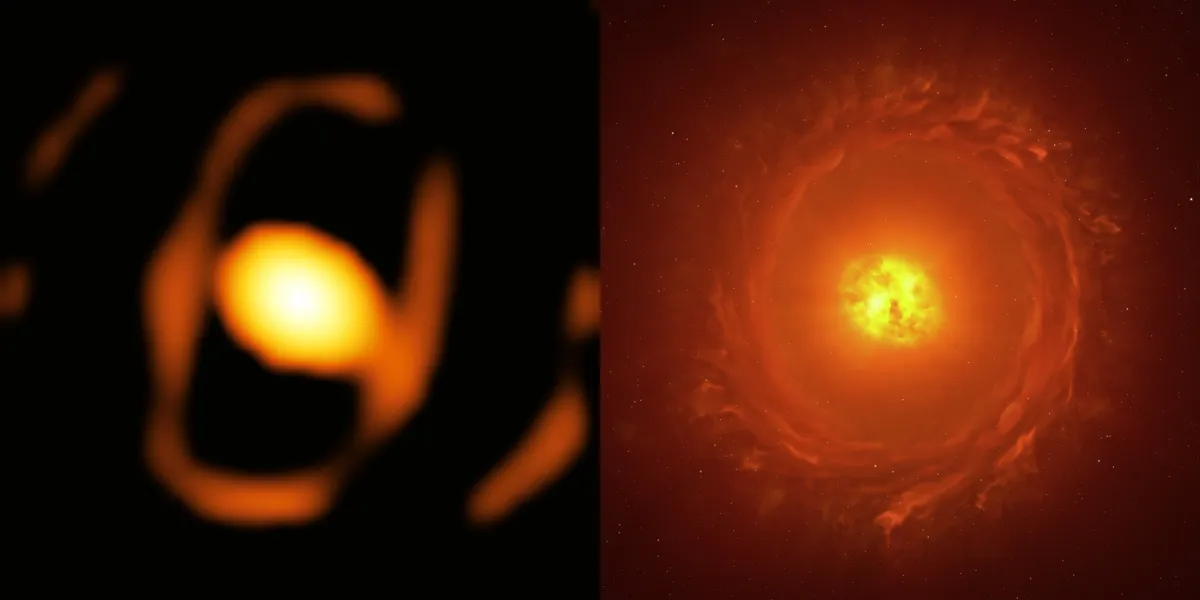 The real image shows a thin oval shape and at the center an egg like orange, ther star. The artist impression on the side show the same but provide tghe whispiness of the outer disk of gas and the fuzziness of the super red giant. The real image shows a thin oval shape and at the center an egg like orange, ther star. The artist impression on the side show the same but provide tghe whispiness of the outer disk of gas and the fuzziness of the super red giant.