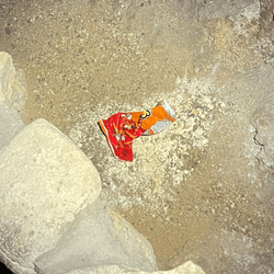 A bag of corn snacks dropped in the Big Room of Carlsbad Caverns and had been festering for some time.
