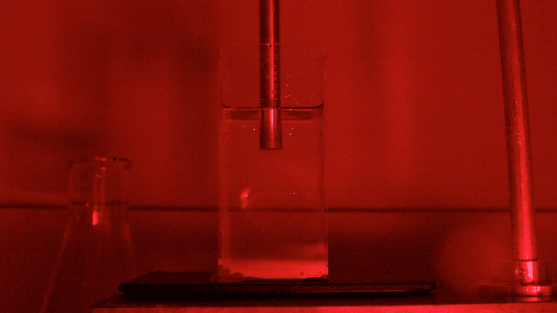 Sonoluminescence captured on camera.