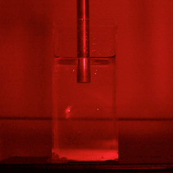 Sonoluminescence captured on camera.