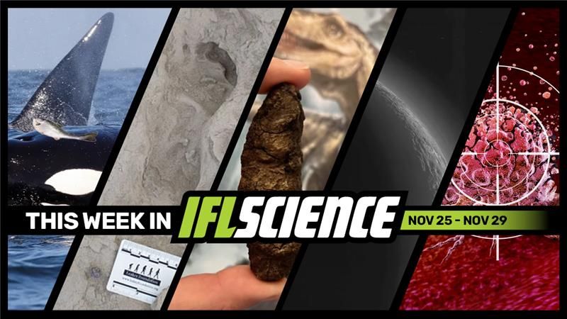 All the biggest science news stories of the week.