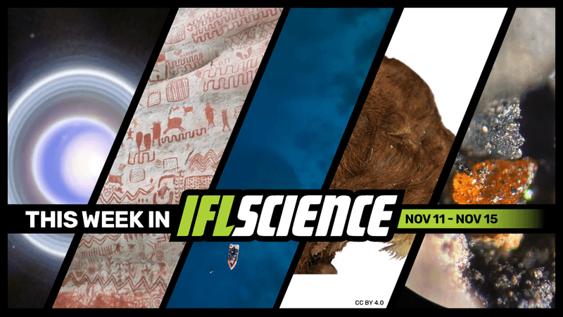 All the biggest science news stories of the week.