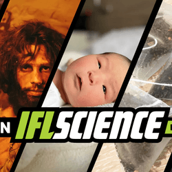 All the biggest science news stories of the week.