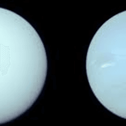 The two planets are shown side to side in this image. They are both without many dramtic features on their surfaces